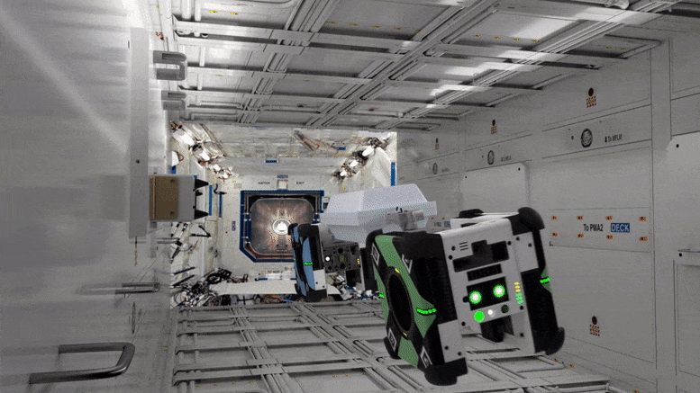 Astrobees-on-Space-Station.gif