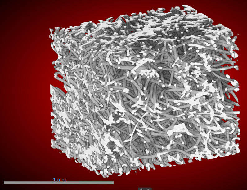 Microtomography of FiberForm